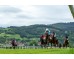  Carrera: P.Bar Génesis Caballo: Tammani Monta: R.Sousa